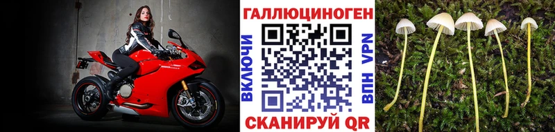 Галлюциногенные грибы Magic Shrooms  закладки  Кстово 