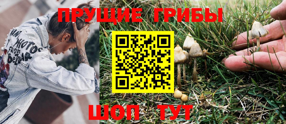 Псилоцибиновые грибы Cubensis  Галлюциногенные грибы Magic Shrooms  Кстово 