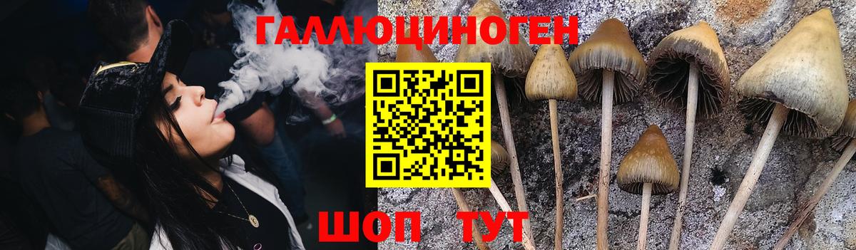НБОМе  Хэш  Cocaine  Марки ЛСД  Мяу-Мяу  Вход с VPN  Перец  Кстово  Конопля  APVP  Мяу-Мяу  MDMA 